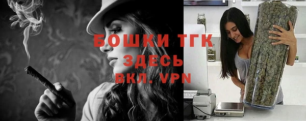 дживик Богданович