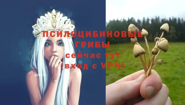 винт Беломорск