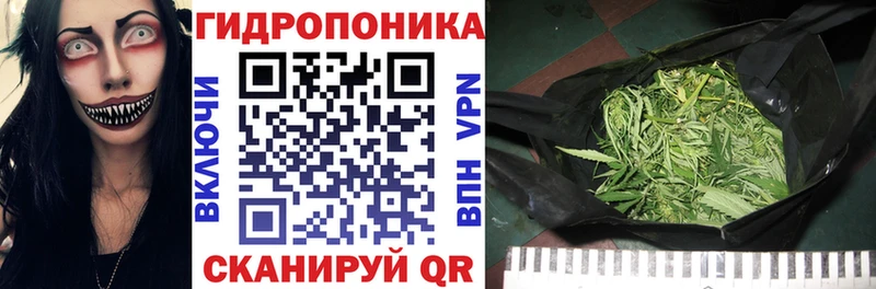 Марихуана гибрид  Калтан 